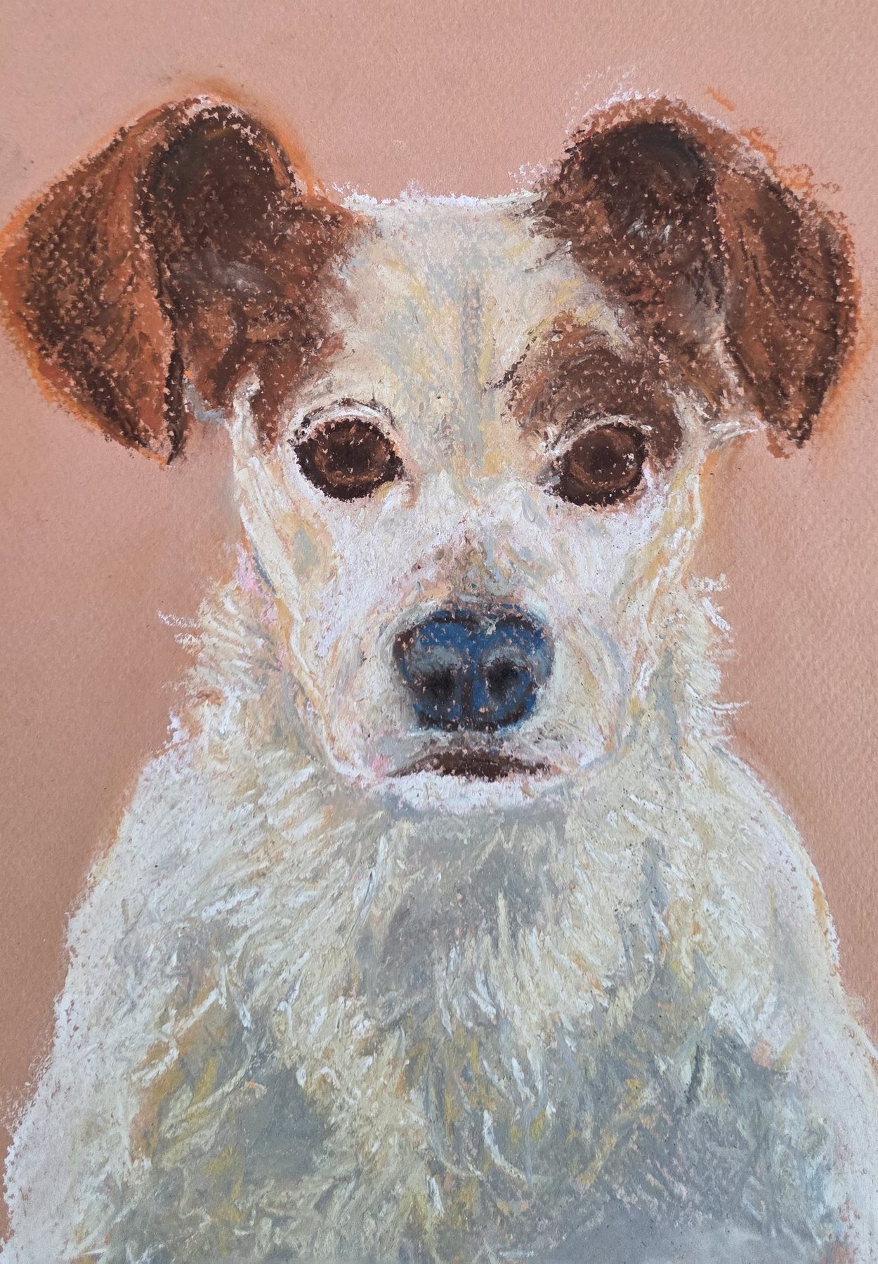 Soft pastel portrait of a white terrier with brown ears, on tan paper